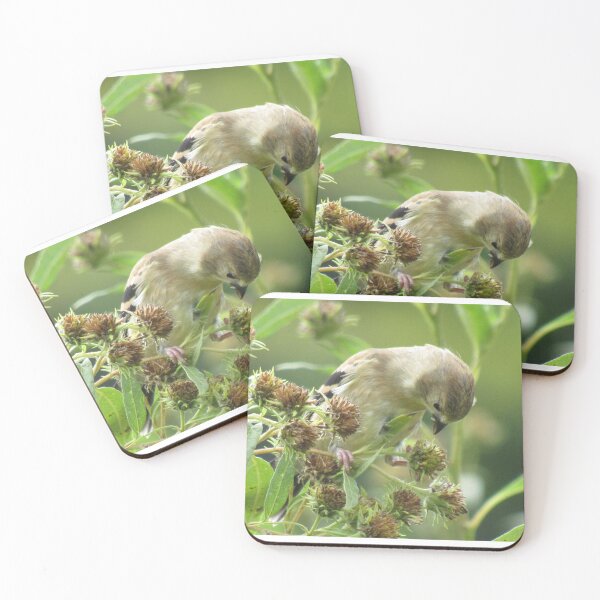 Item preview, Feeding Finch designed and sold by Simple Joys Photography.