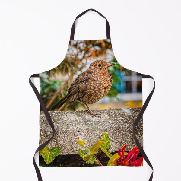Item preview, Juvenile Blackbird designed and sold by AJEvans.
