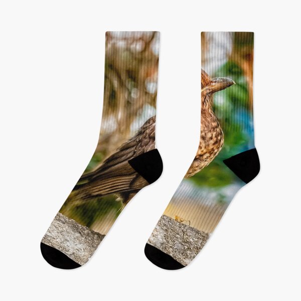 Item preview, Juvenile Blackbird designed and sold by AJEvans.