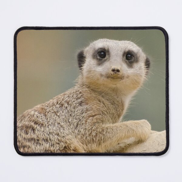 Item preview, Meerkat #15 designed and sold by KingdomWildlife.