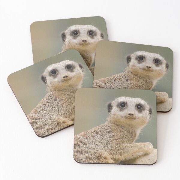 Item preview, Meerkat #15 designed and sold by KingdomWildlife.