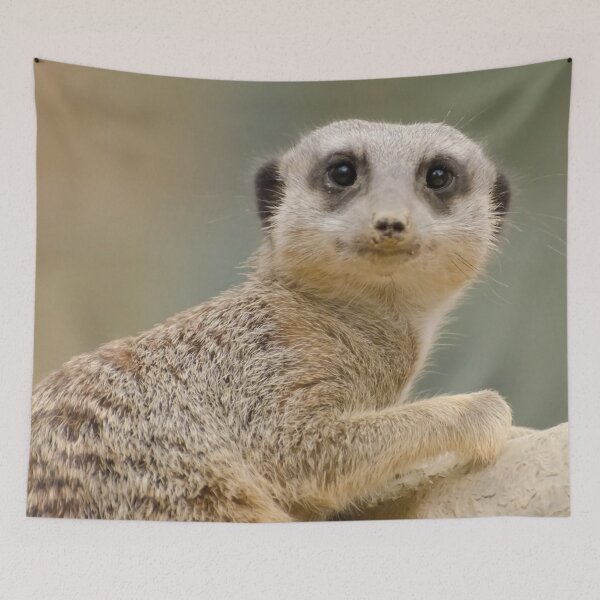 Item preview, Meerkat #15 designed and sold by KingdomWildlife.