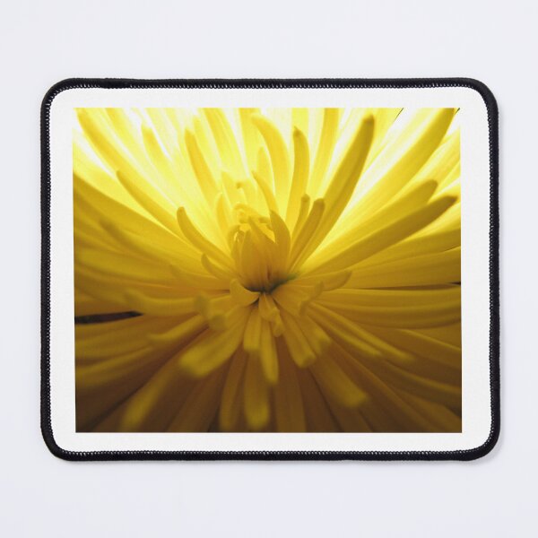Item preview, Glowing Chrysanthemum designed and sold by Simple Joys Photography.