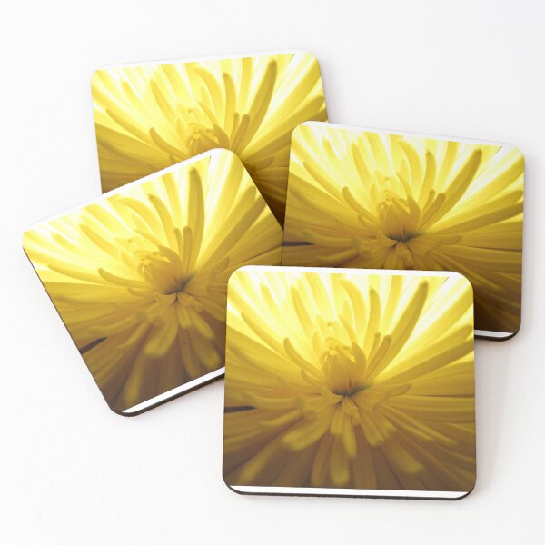 Item preview, Glowing Chrysanthemum designed and sold by Simple Joys Photography.