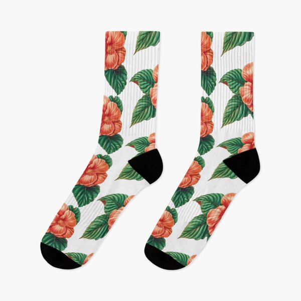 Item preview, Houseplant Begonia Care designed and sold by Artcurrents.