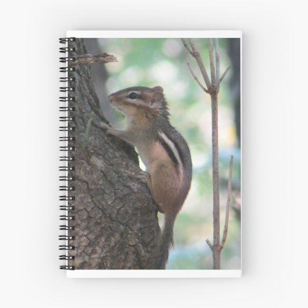 Item preview, Ground Squirrel in Tree designed and sold by Simple Joys Photography.