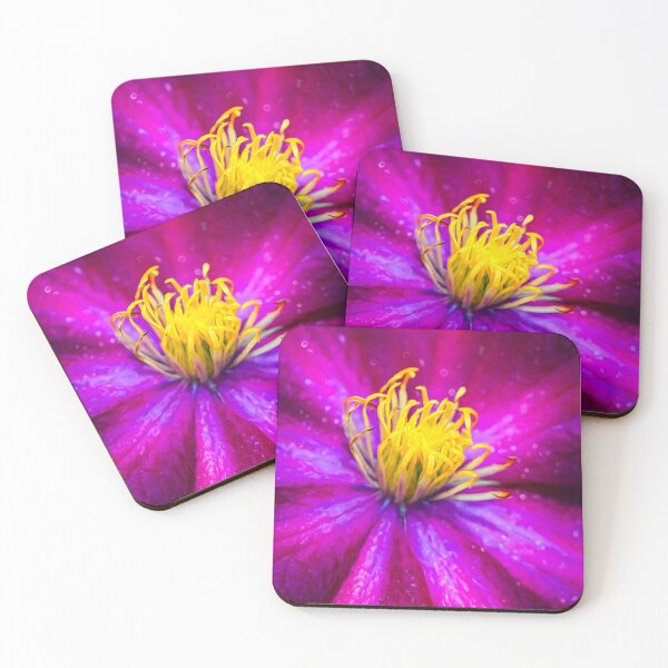 Item preview, Clamatis designed and sold by AJEvans.
