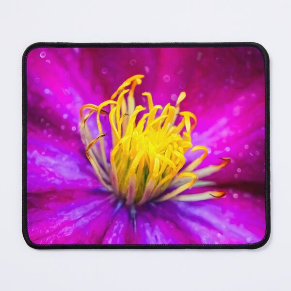 Item preview, Clamatis designed and sold by AJEvans.