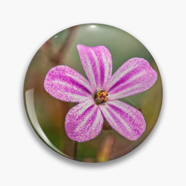 Item preview, Geranium Robertianum designed and sold by AJEvans.