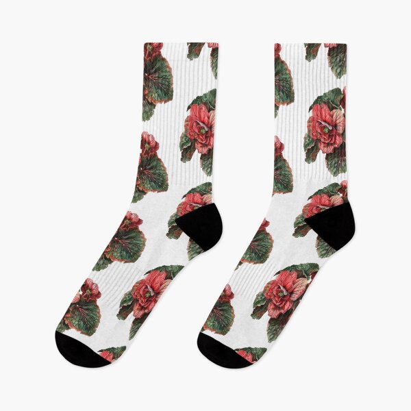 Item preview, Begonia A Symbol of Beauty designed and sold by Artcurrents.