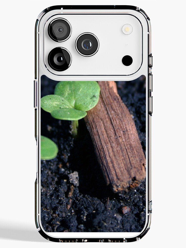 Aperçu 1 sur 5. Coque iPhone avec l'œuvre Vie [Roufxis-Rb] créée et vendue par RoufXis.