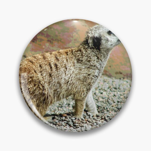 Item preview, Meerkat #20 designed and sold by KingdomWildlife.