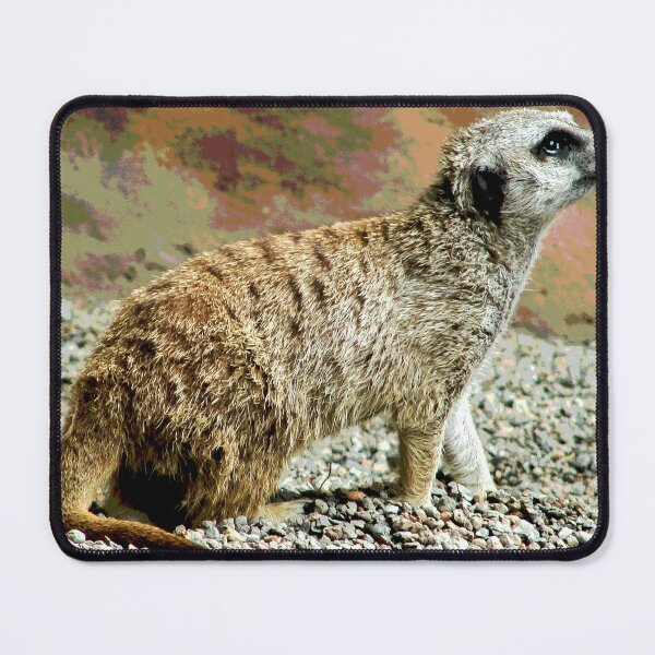 Item preview, Meerkat #20 designed and sold by KingdomWildlife.