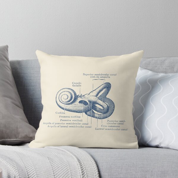 Item preview, Inner Ear Anatomy Diagram designed and sold by VAposters.