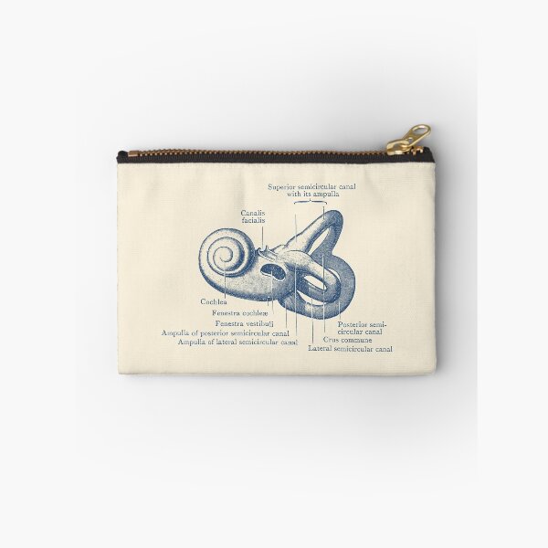 Item preview, Inner Ear Anatomy Diagram designed and sold by VAposters.