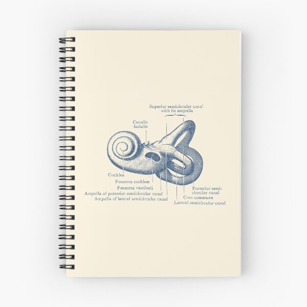 Item preview, Inner Ear Anatomy Diagram designed and sold by VAposters.