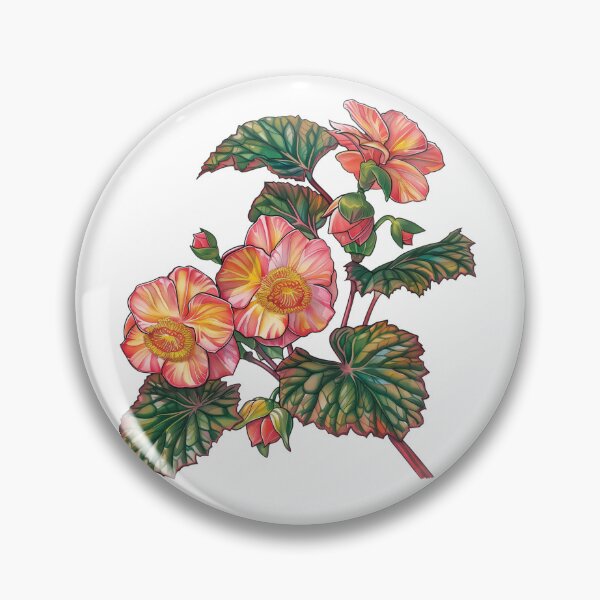 Item preview, Begonia Varieties and Propagation designed and sold by Artcurrents.