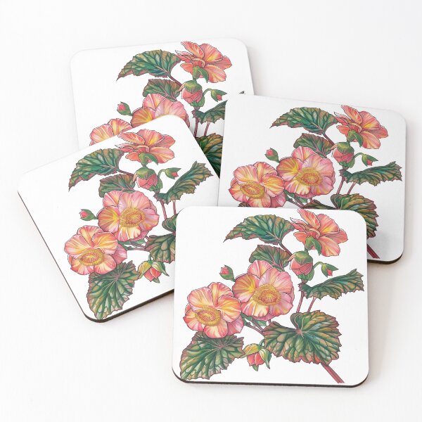 Item preview, Begonia Varieties and Propagation designed and sold by Artcurrents.