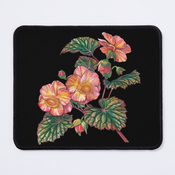 Item preview, Begonia Varieties and Propagation designed and sold by Artcurrents.