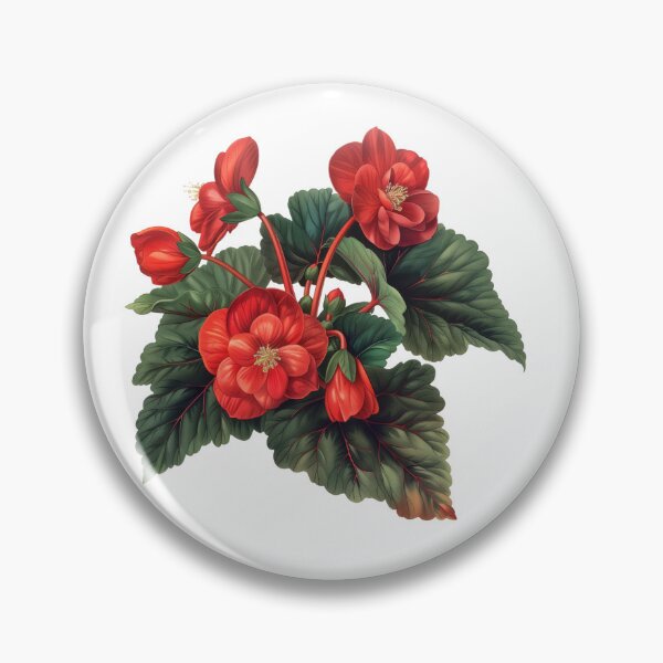 Item preview, Houseplant Red Begonia Care designed and sold by Artcurrents.