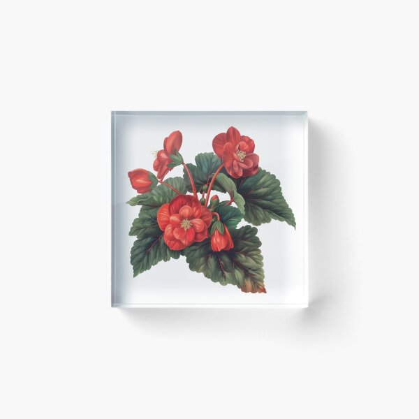 Item preview, Houseplant Red Begonia Care designed and sold by Artcurrents.