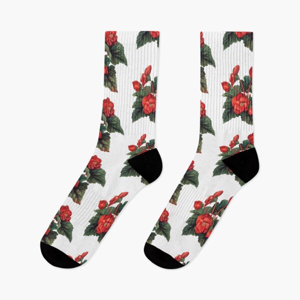 Item preview, Houseplant Red Begonia Care designed and sold by Artcurrents.