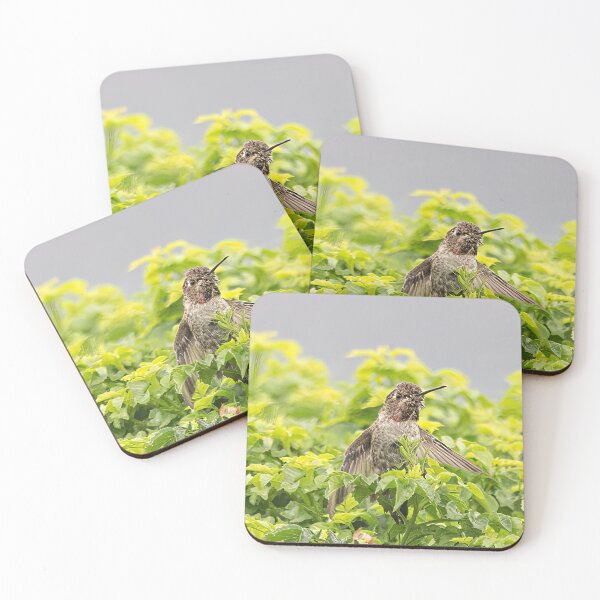 Item preview, Hummingbird In The Bush designed and sold by CarolM.
