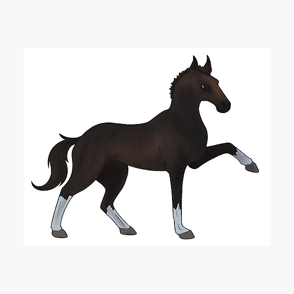 Aperçu de l'œuvre RDO Turkoman Dark Bay créée et vendue par BlueToDraw.