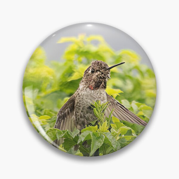 Item preview, Hummingbird In The Bush designed and sold by CarolM.