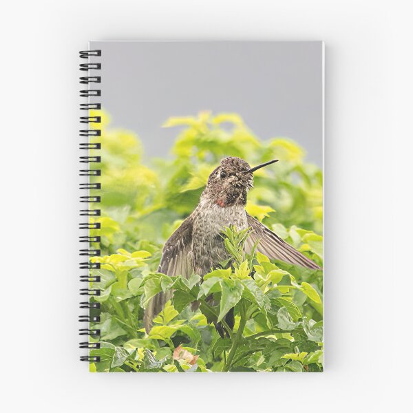 Item preview, Hummingbird In The Bush designed and sold by CarolM.