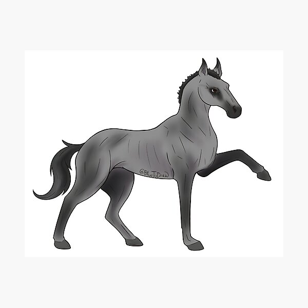 Aperçu de l'œuvre  RDO Turkoman Gris créée et vendue par BlueToDraw.
