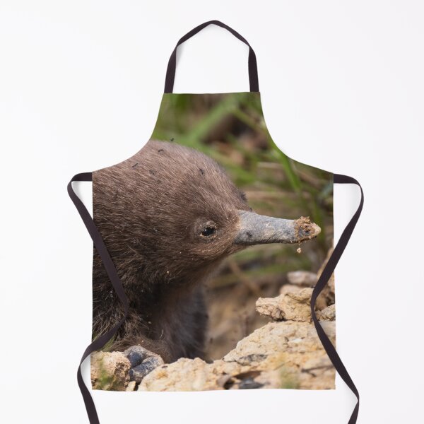 Item preview, Young Echidna designed and sold by Images by Chris de Blank.