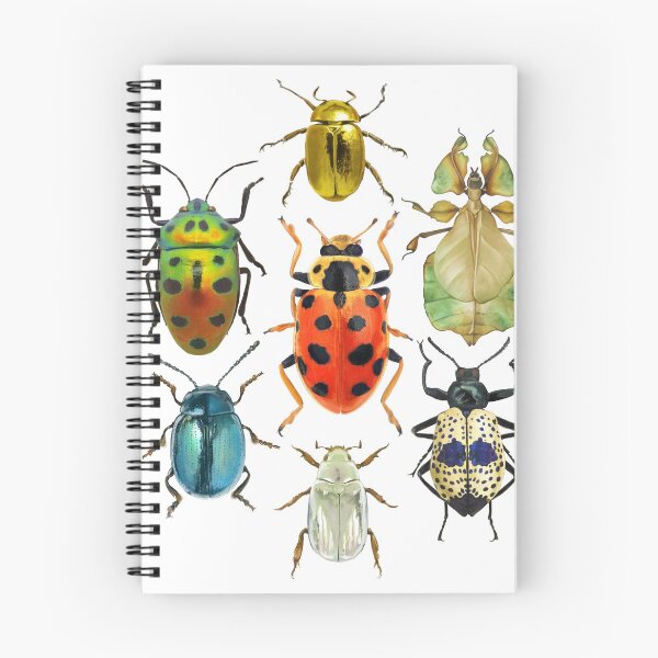 Item preview, Beetle Compilation designed and sold by dcrownfield.