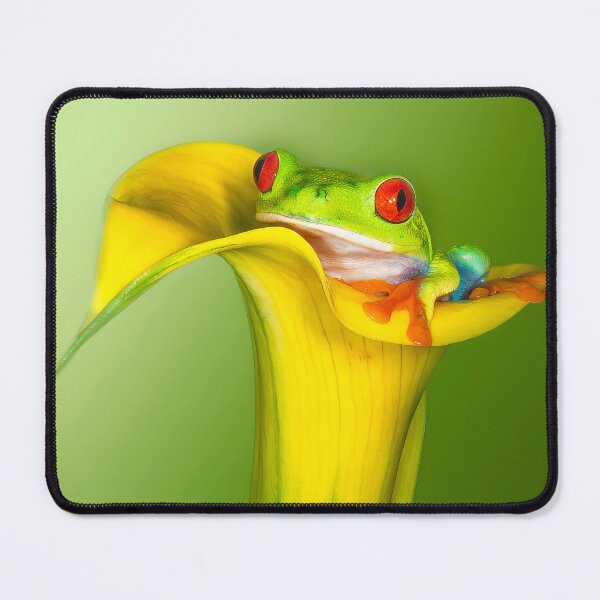 Item preview, Froggie designed and sold by JillLind47.
