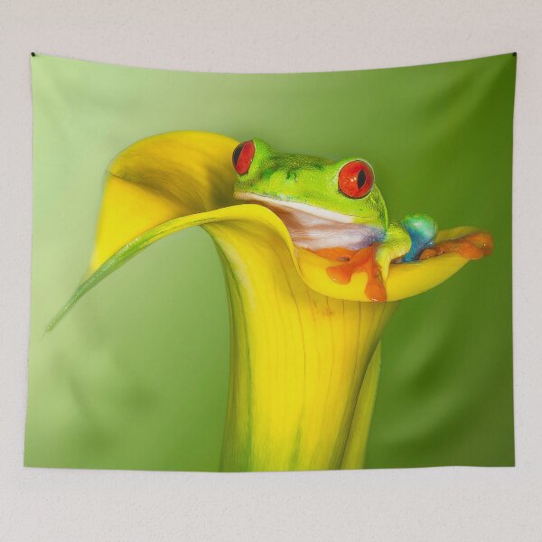 Item preview, Froggie designed and sold by JillLind47.