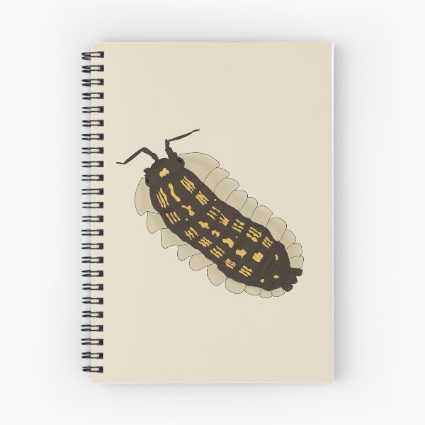 Item preview, Armadillidium depressum  designed and sold by Lilis-isopods.