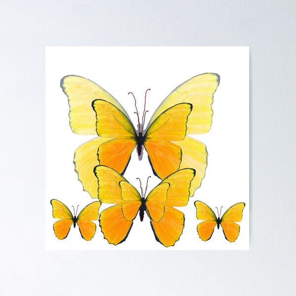 Item preview, MODERN ART YELLOW BUTTERFLIES ABSTRACT  designed and sold by sharlesart.
