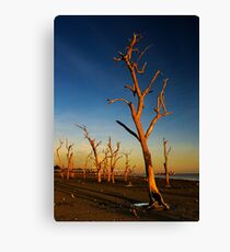 Desolate Canvas Print