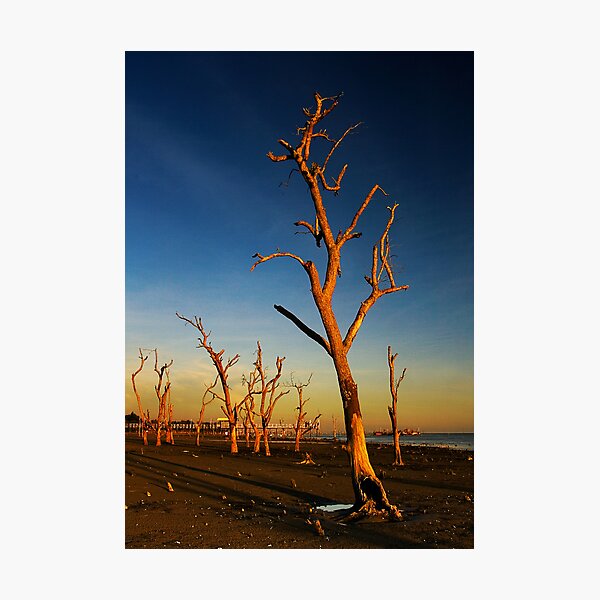 Item preview, Desolate designed and sold by Steven  Siow.