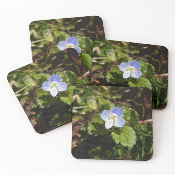 Item preview, Early Spring Birdseye Speedwell designed and sold by gistinker.