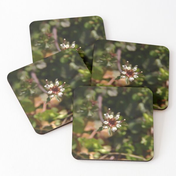 Item preview, Budding Bittercress designed and sold by gistinker.