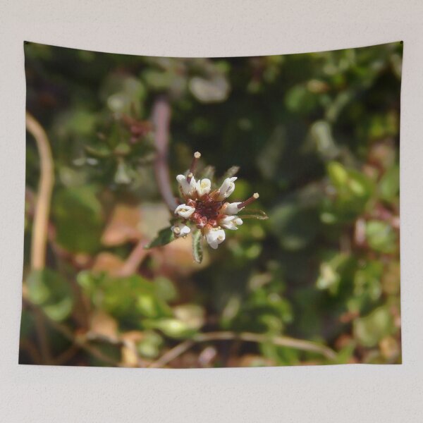 Item preview, Budding Bittercress designed and sold by gistinker.