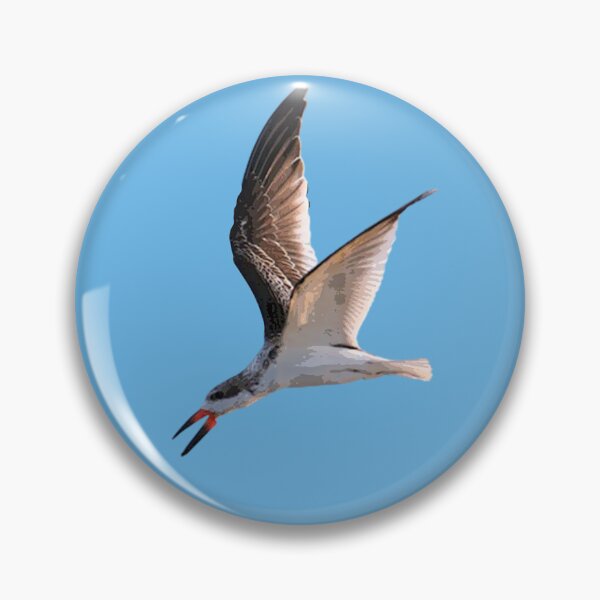 Item preview, Black Skimmer Color Design  designed and sold by designsasstultd.