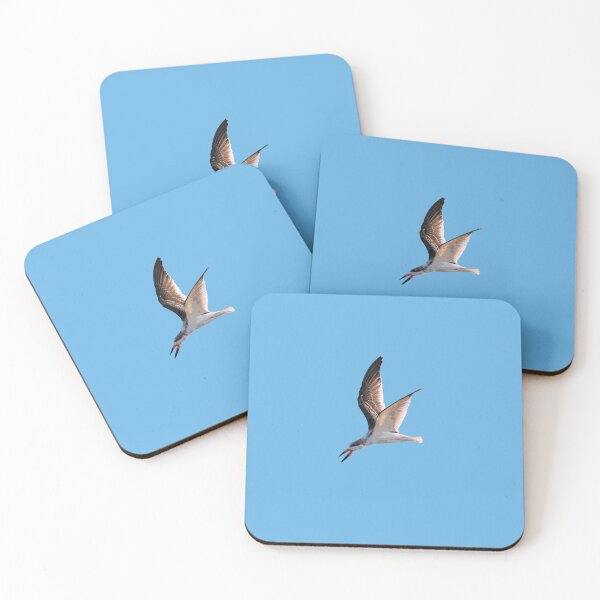 Item preview, Black Skimmer Color Design  designed and sold by designsasstultd.