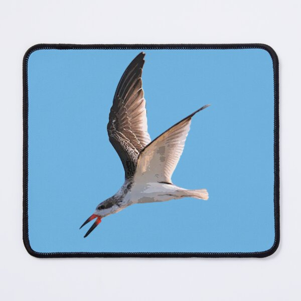 Item preview, Black Skimmer Color Design  designed and sold by designsasstultd.