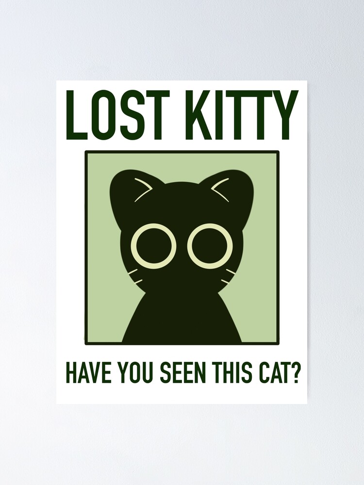 Pet My Kitten Has Gone Missing Cat Hiding Indoor Cat Gone Missing