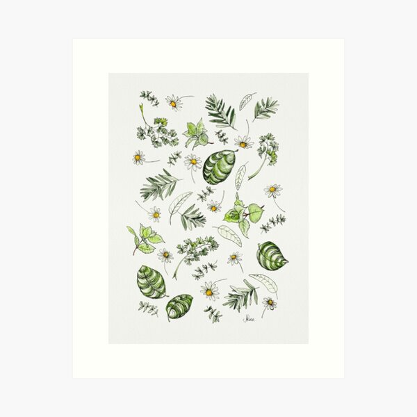 Item preview, Scattered Garden Herbs Illustration designed and sold by JRoseDesign.