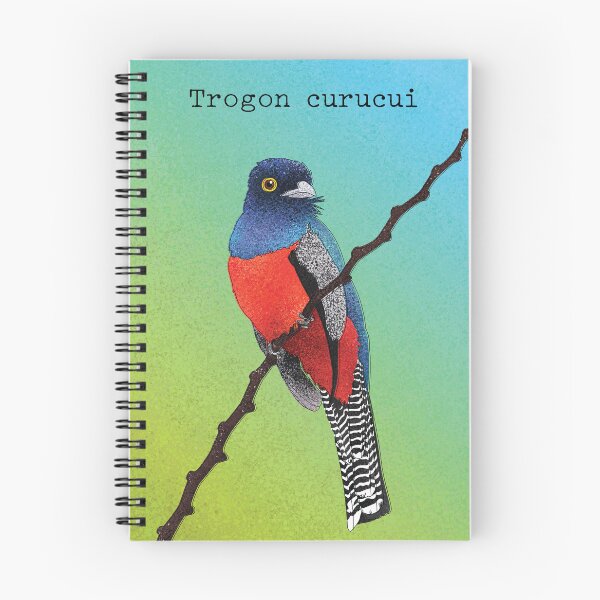 Item preview, Trogon curucui Poster designed and sold by marivin.