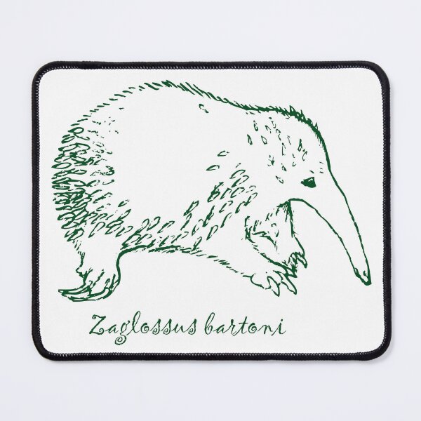 Item preview, Eastern Long-Beaked Echidna (Zaglossus bartoni) designed and sold by NinGaui.