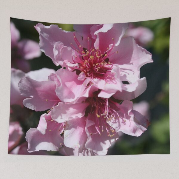 Item preview, Peach Tree Blossom With Garden Background designed and sold by taiche.